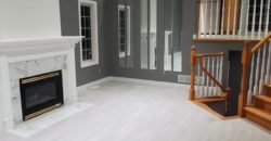 Fully Renovated 5 Bedroom Detached Home – Windsor