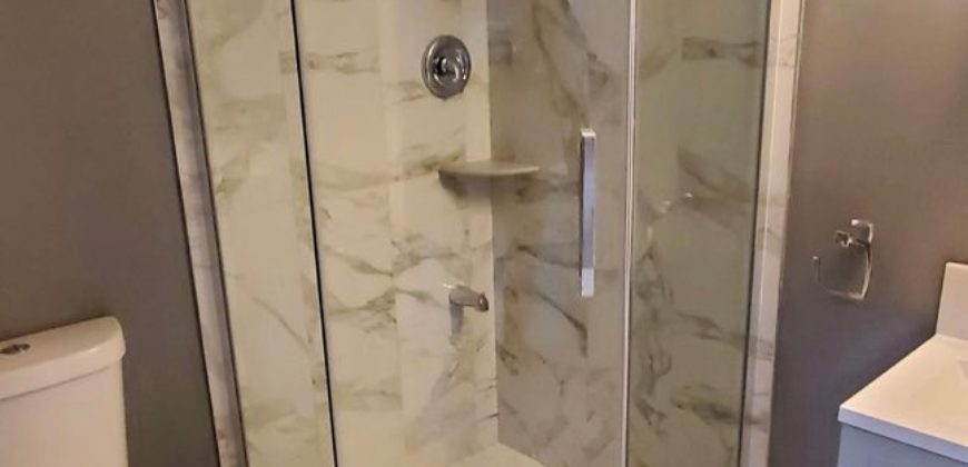 Fully Renovated 5 Bedroom Detached Home – Windsor