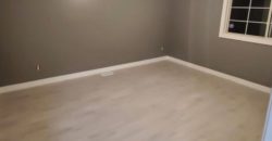 Fully Renovated 5 Bedroom Detached Home – Windsor