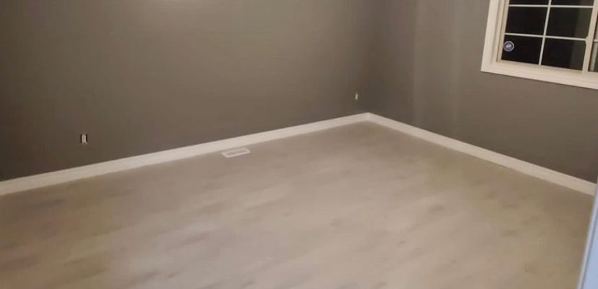 Fully Renovated 5 Bedroom Detached Home – Windsor